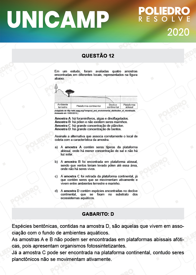 Questão 12 - 1ª Fase - Prova Q e X - UNICAMP 2020