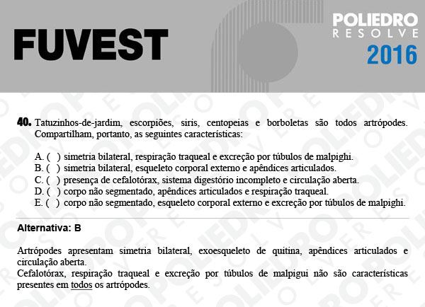 Questão 40 - 1ª Fase - FUVEST 2016