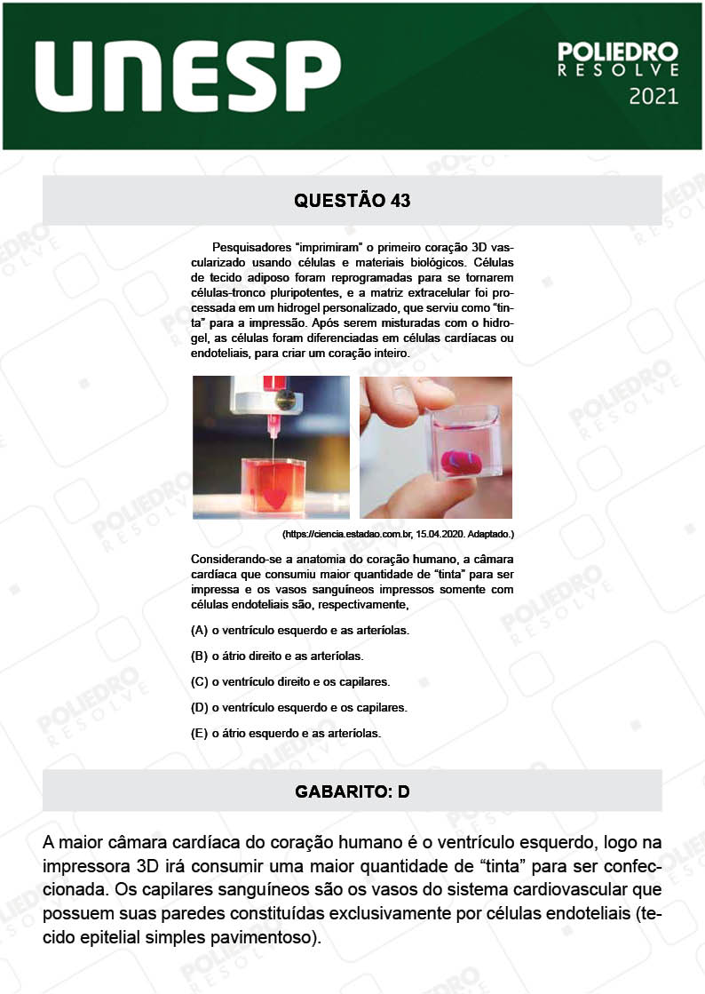 Questão 43 - 2ª Fase - UNESP 2021