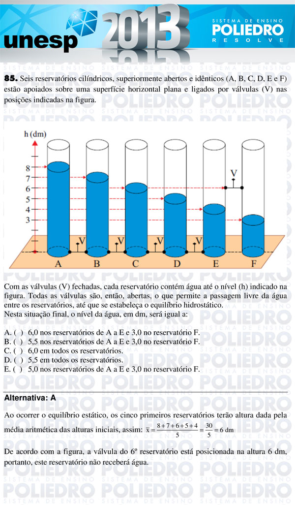 Questão 85 - 1ª Fase - UNESP 2013