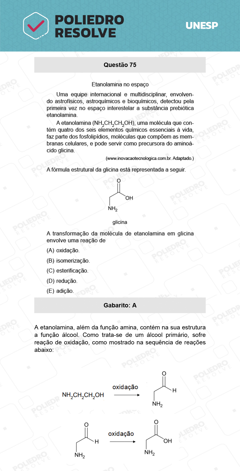 Questão 75 - 1ª Fase - Biológicas - UNESP 2022