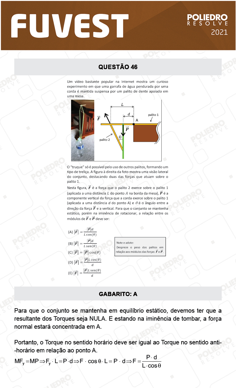 Questão 46 - 1ª Fase - FUVEST 2021