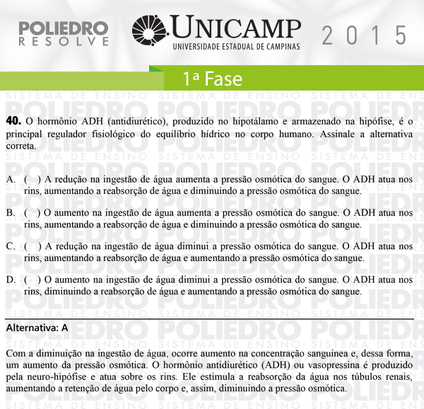 Questão 40 - 1ª Fase - UNICAMP 2015