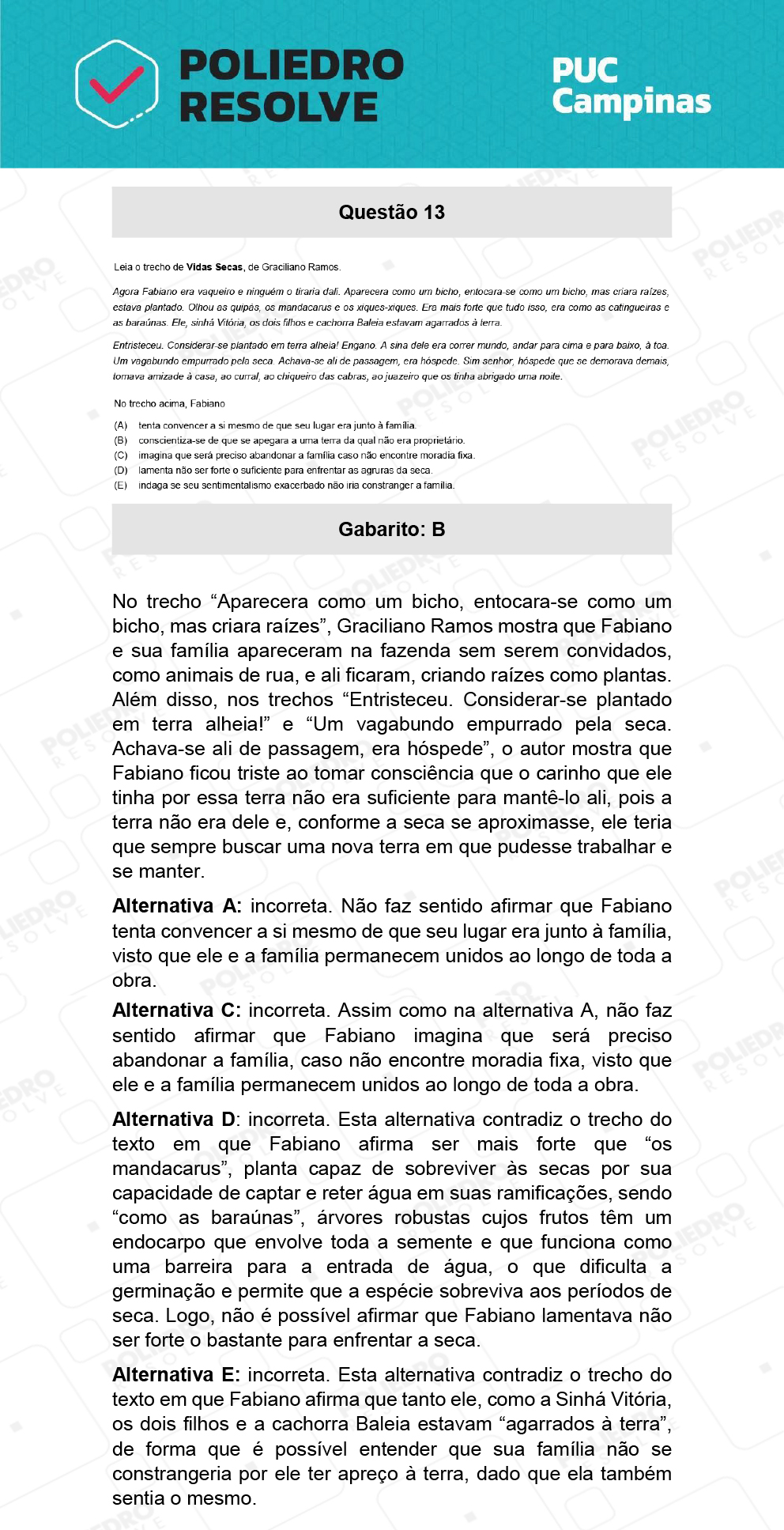 Questão 13 - Demais cursos - PUC-Campinas 2022