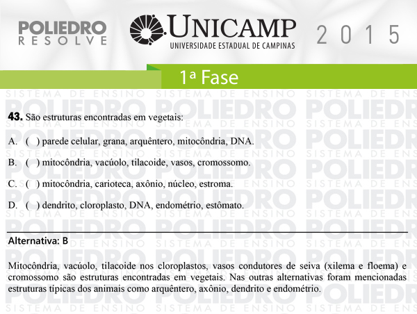 Questão 43 - 1ª Fase - UNICAMP 2015