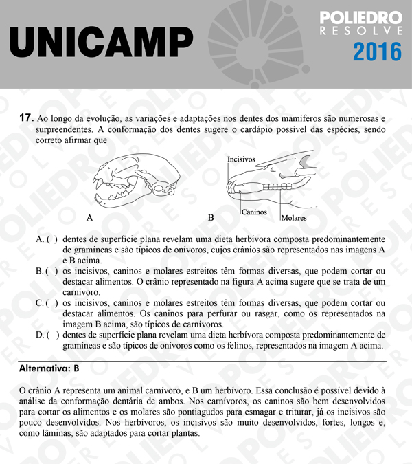 Questão 17 - 1ª Fase - UNICAMP 2016