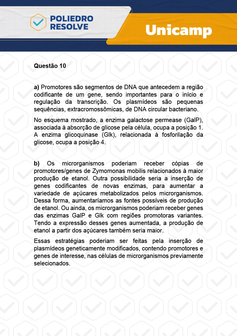 Dissertação 10 - 2ª Fase - 2º Dia - UNICAMP 2024