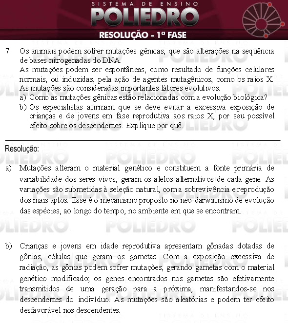 Dissertação 7 - 1ª Fase - UNICAMP 2009