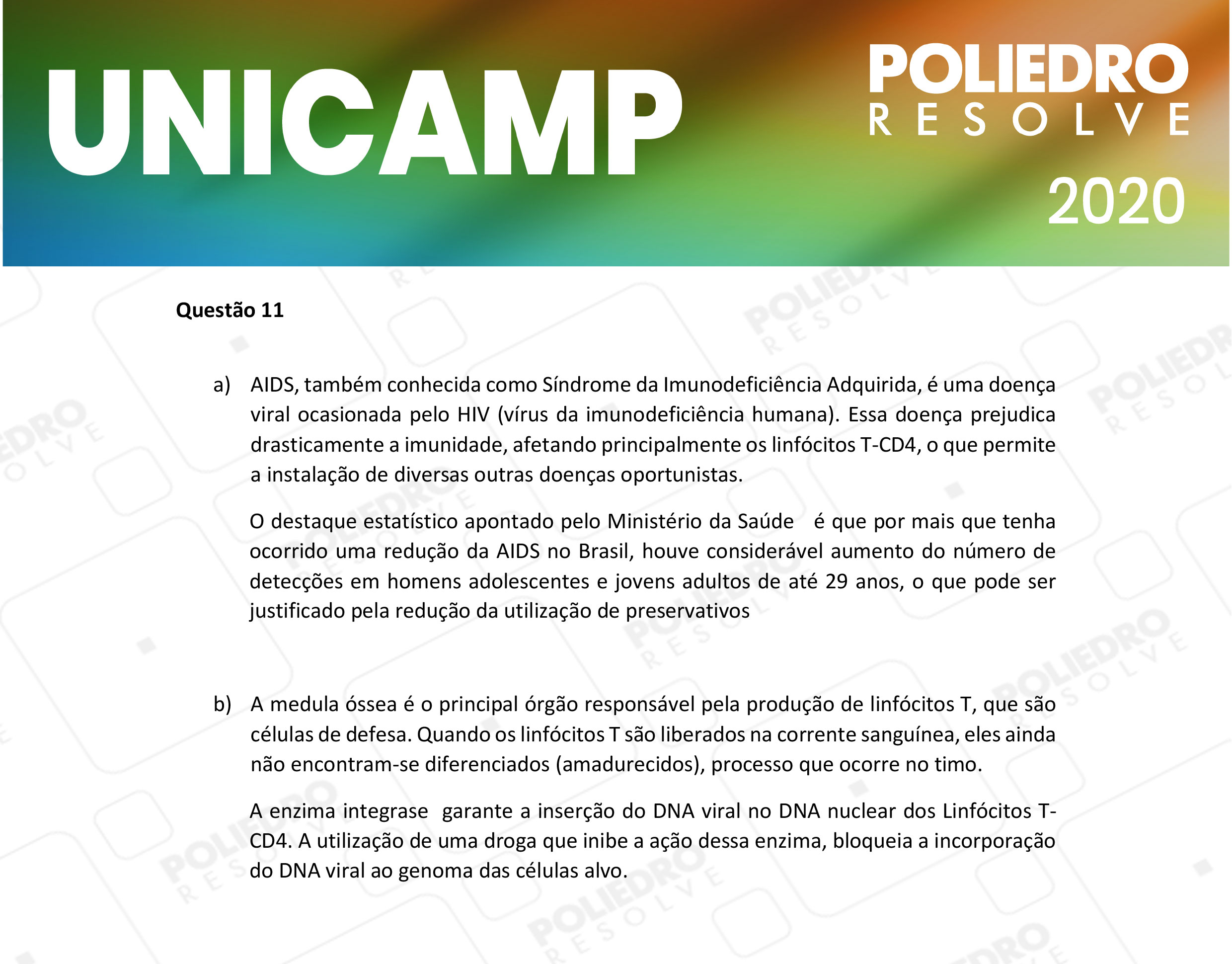 Dissertação 11 - 2ª Fase - 2º Dia - UNICAMP 2020