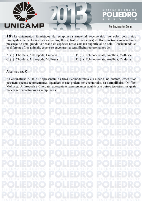 Questão 19 - 1ª Fase - UNICAMP 2013