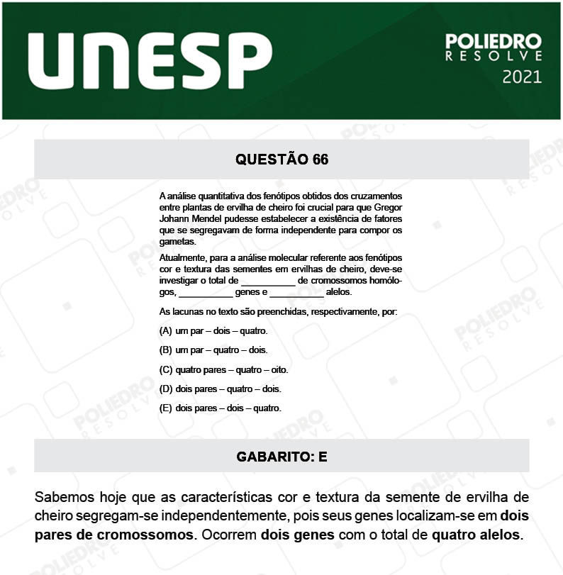 Questão 66 - 1ª Fase - 1º Dia - UNESP 2021