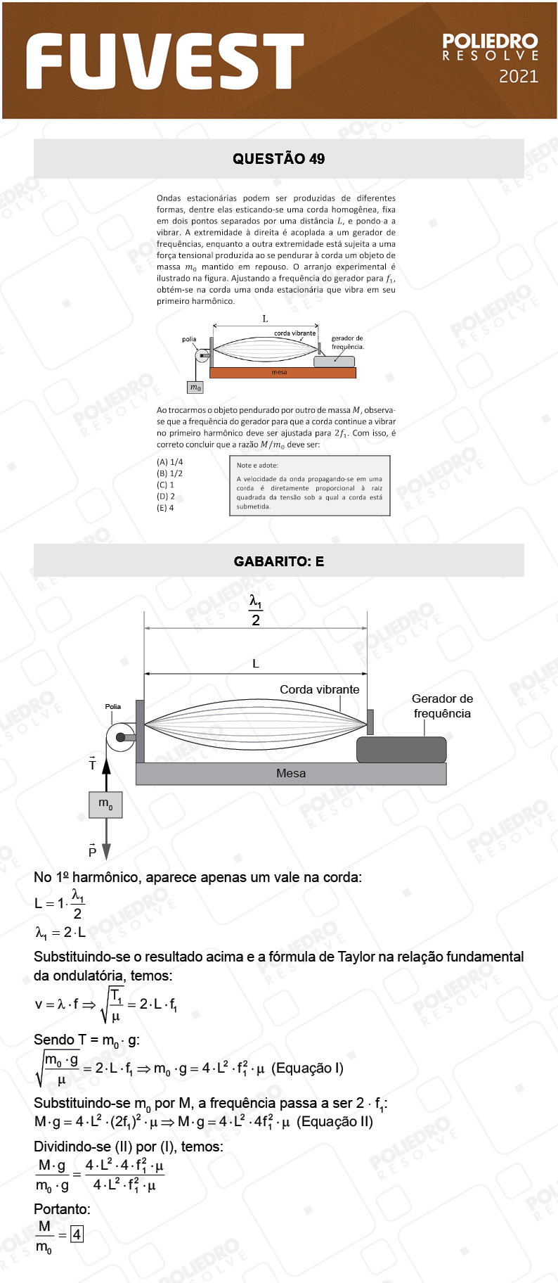 Questão 49 - 1ª Fase - FUVEST 2021