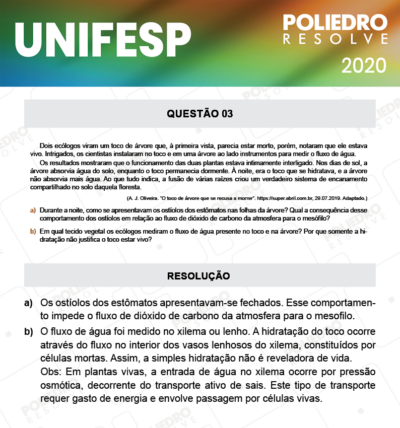 Dissertação 3 - Fase única - 2º Dia - UNIFESP 2020