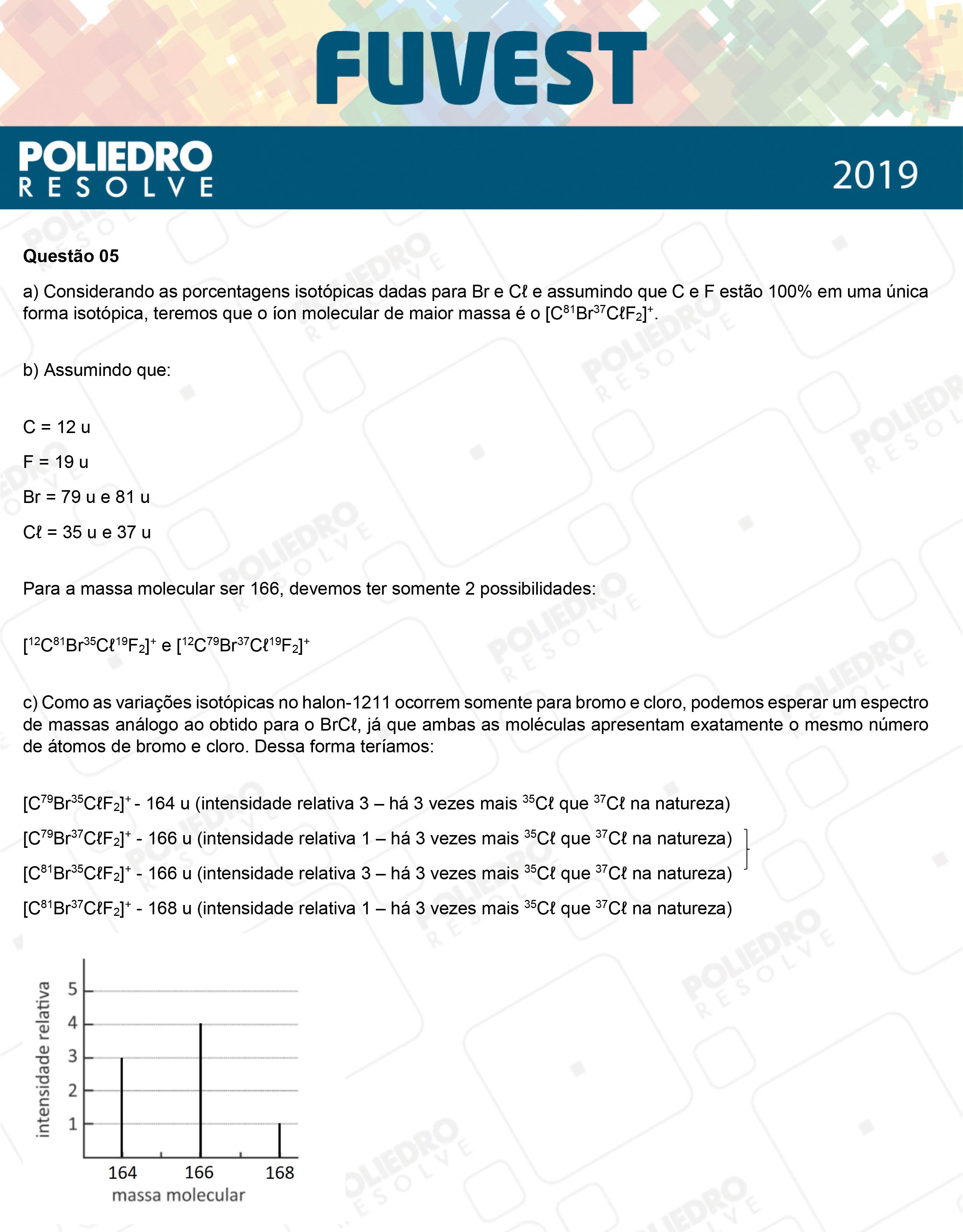 Dissertação 5 - 2ª Fase - 2º Dia - FUVEST 2019