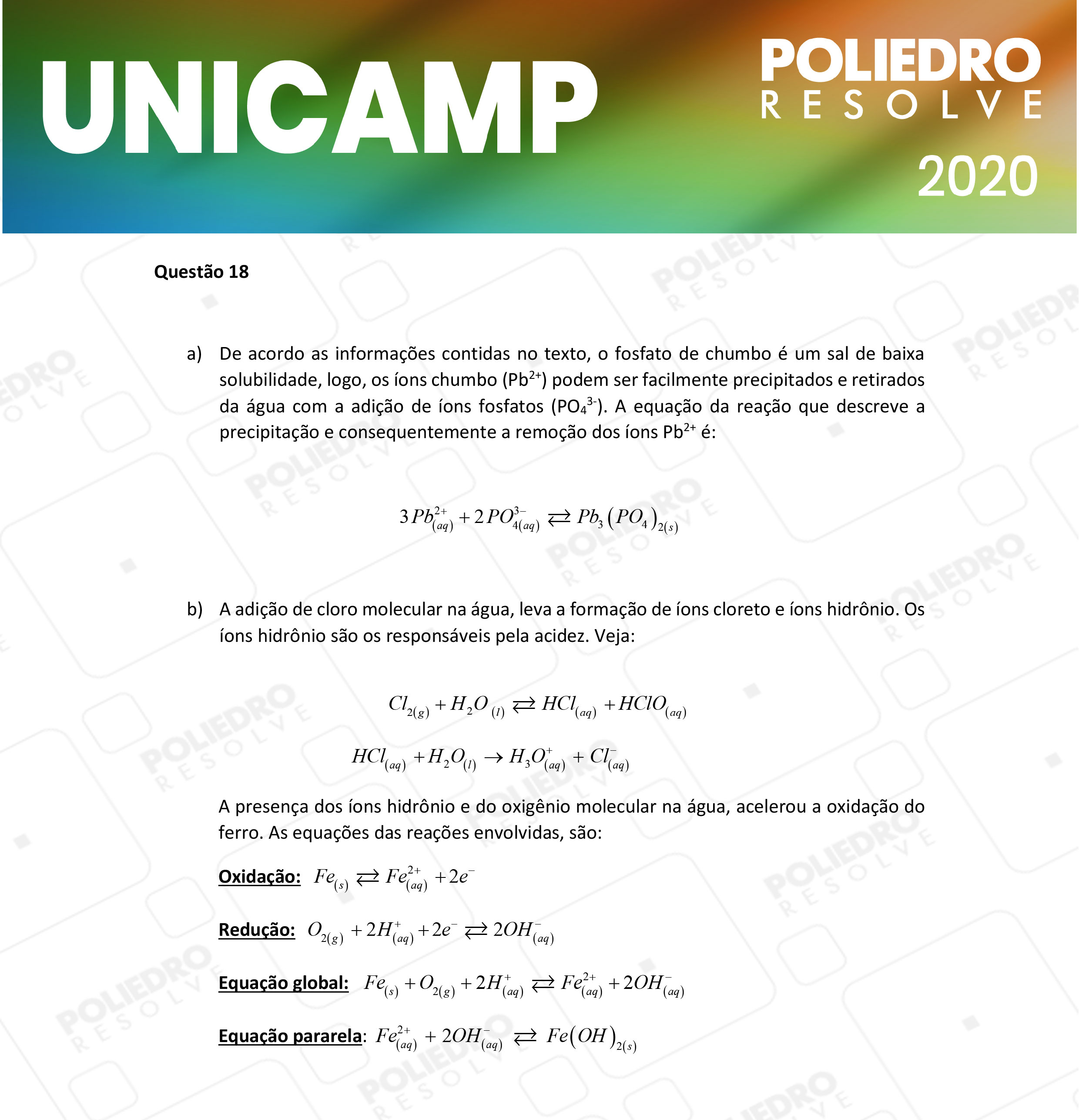 Dissertação 18 - 2ª Fase - 2º Dia - UNICAMP 2020