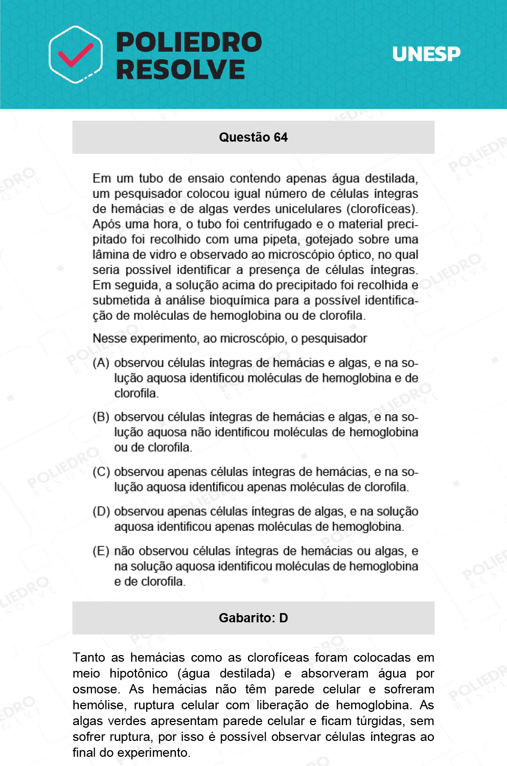 Questão 64 - 1ª Fase - Ext / Hum - UNESP 2022