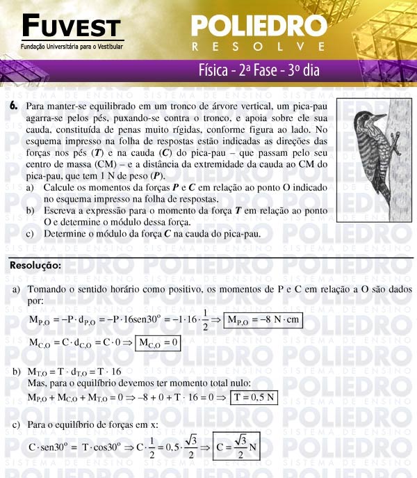 Dissertação 6 - 2ª Fase - 3º Dia - FUVEST 2011