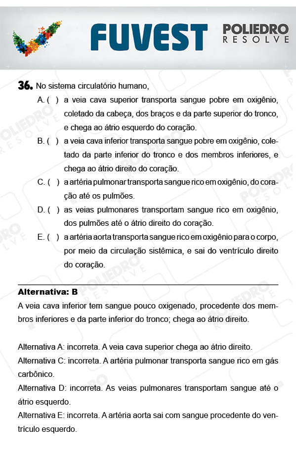 Questão 36 - 1ª Fase - PROVA V - FUVEST 2018