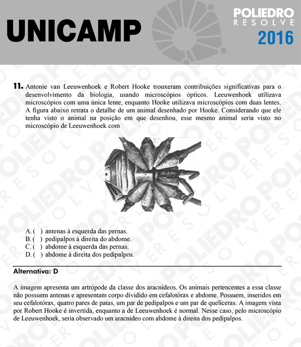 Questão 11 - 1ª Fase - UNICAMP 2016