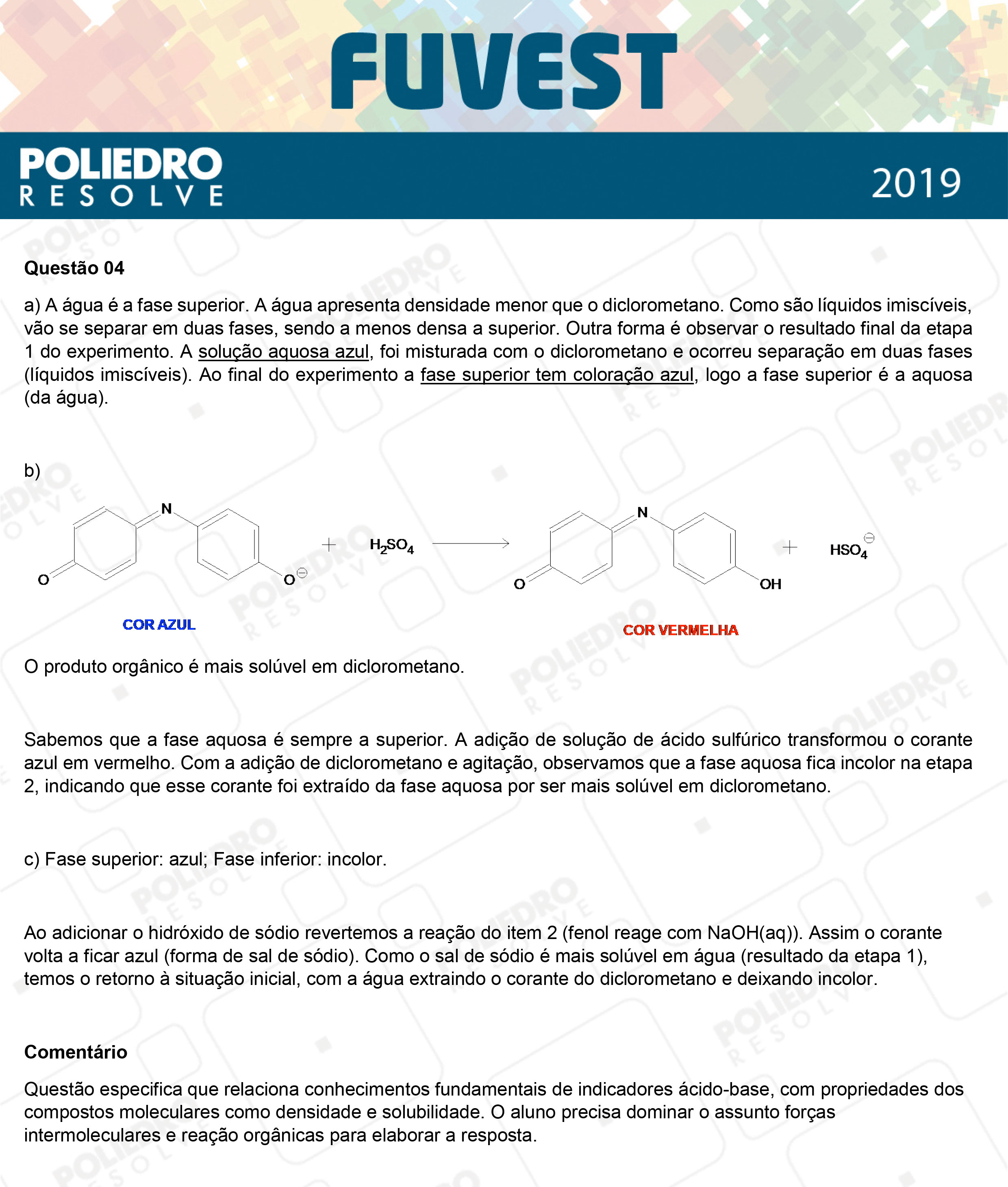 Dissertação 4 - 2ª Fase - 2º Dia - FUVEST 2019