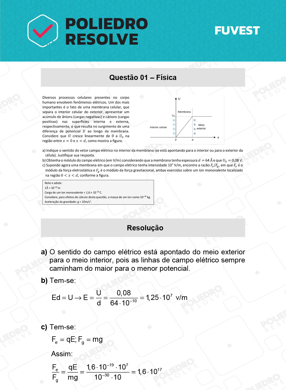 Dissertação 1 - 2ª Fase - 2º Dia - FUVEST 2022