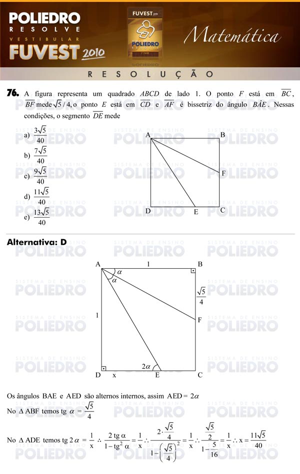 Questão 76 - 1ª Fase - FUVEST 2010