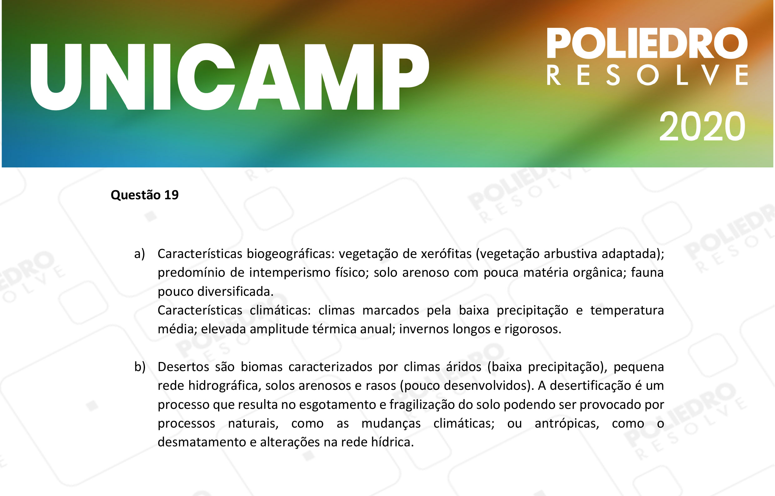 Dissertação 19 - 2ª Fase - 2º Dia - UNICAMP 2020