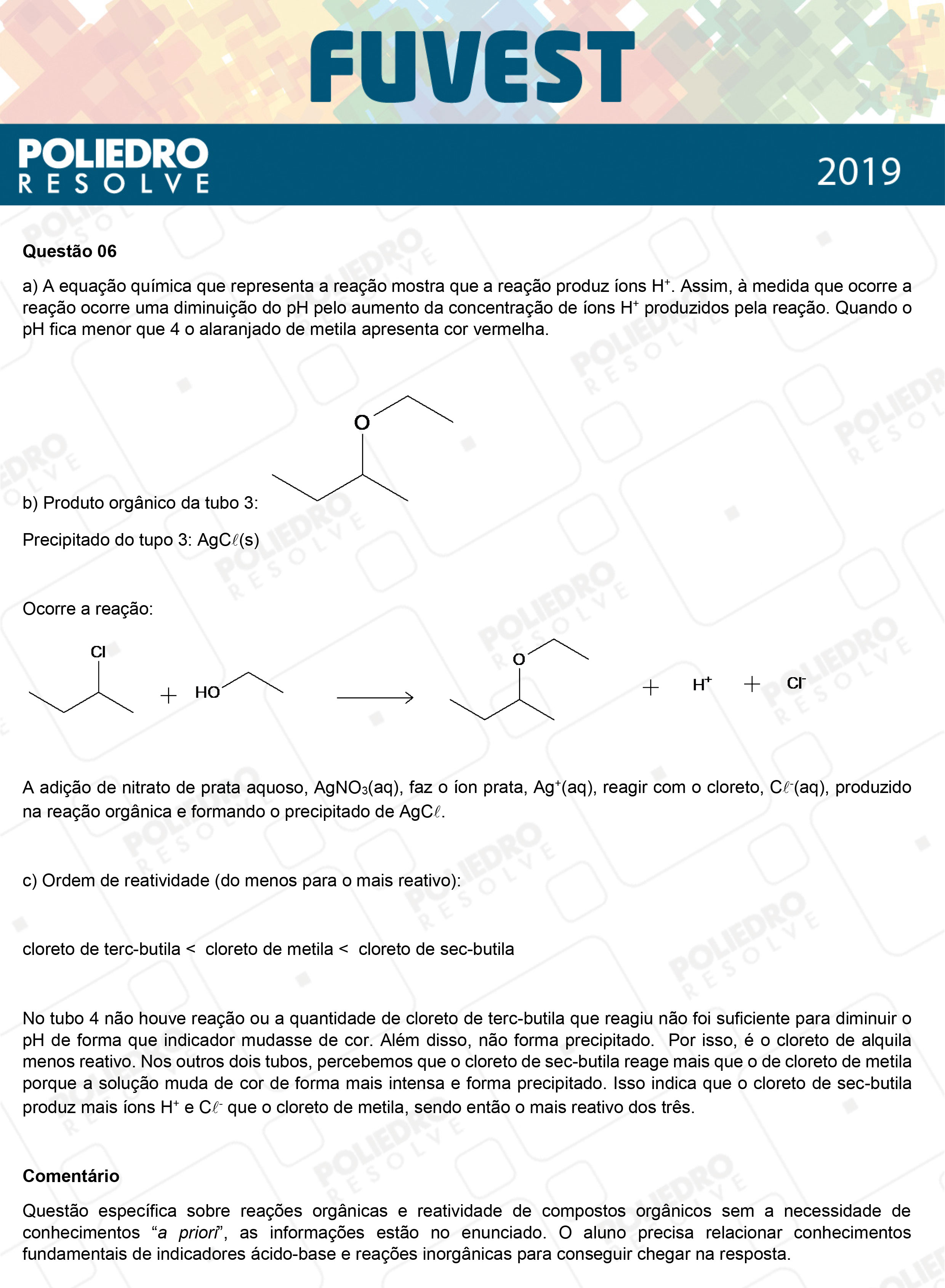 Dissertação 6 - 2ª Fase - 2º Dia - FUVEST 2019