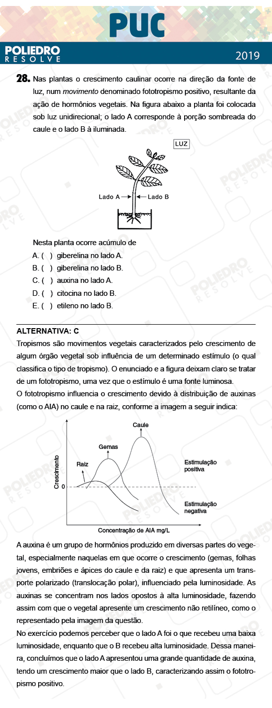 Questão 28 - 1ª Fase - PUC-Campinas 2019