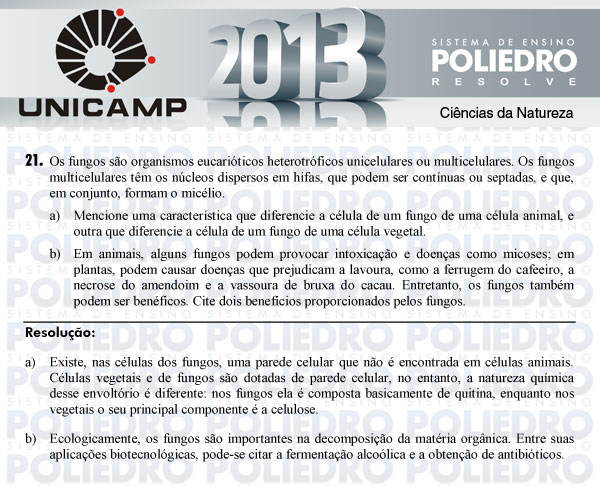 Dissertação 21 - 2ª Fase - UNICAMP 2013