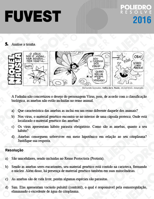 Dissertação 5 - 2ª Fase - 3º Dia - FUVEST 2016