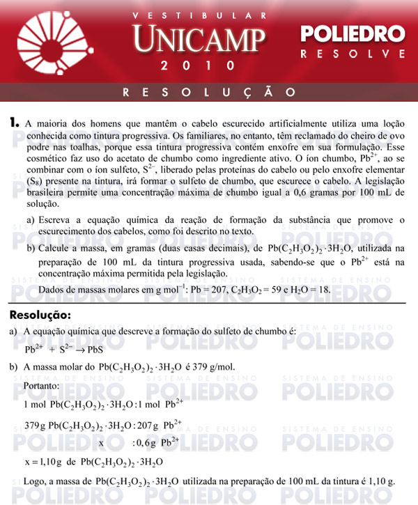 Dissertação 1 - 1ª Fase - UNICAMP 2010