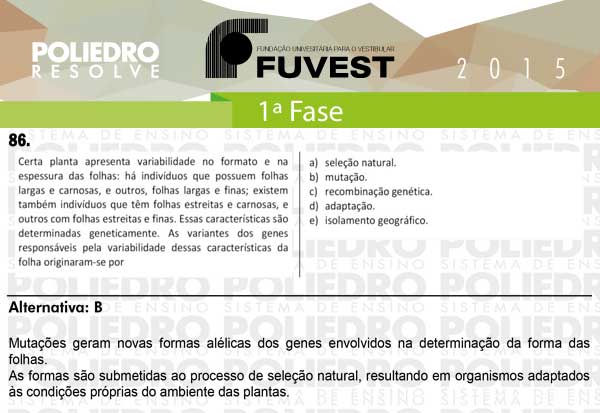 Questão 86 - 1ª Fase - FUVEST 2015