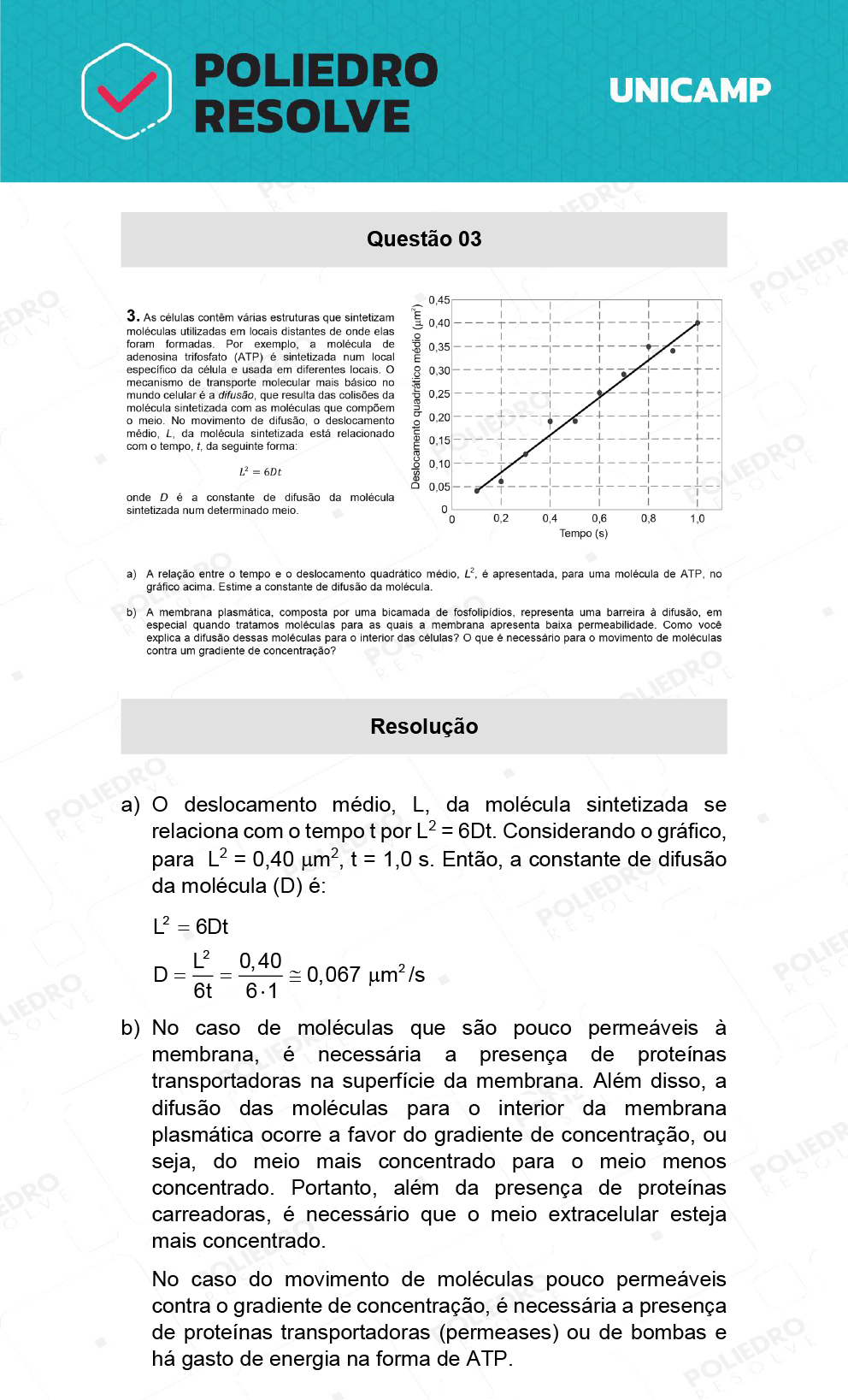 Dissertação 3 - 2ª Fase - 2º Dia - UNICAMP 2022