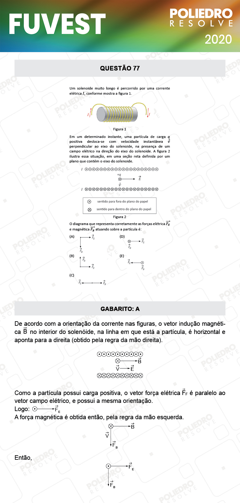 Questão 77 - 1ª Fase - Prova V - FUVEST 2020