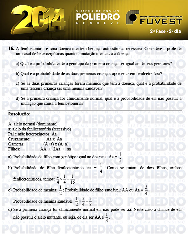 Dissertação 16 - 2ª Fase 2º Dia - FUVEST 2014