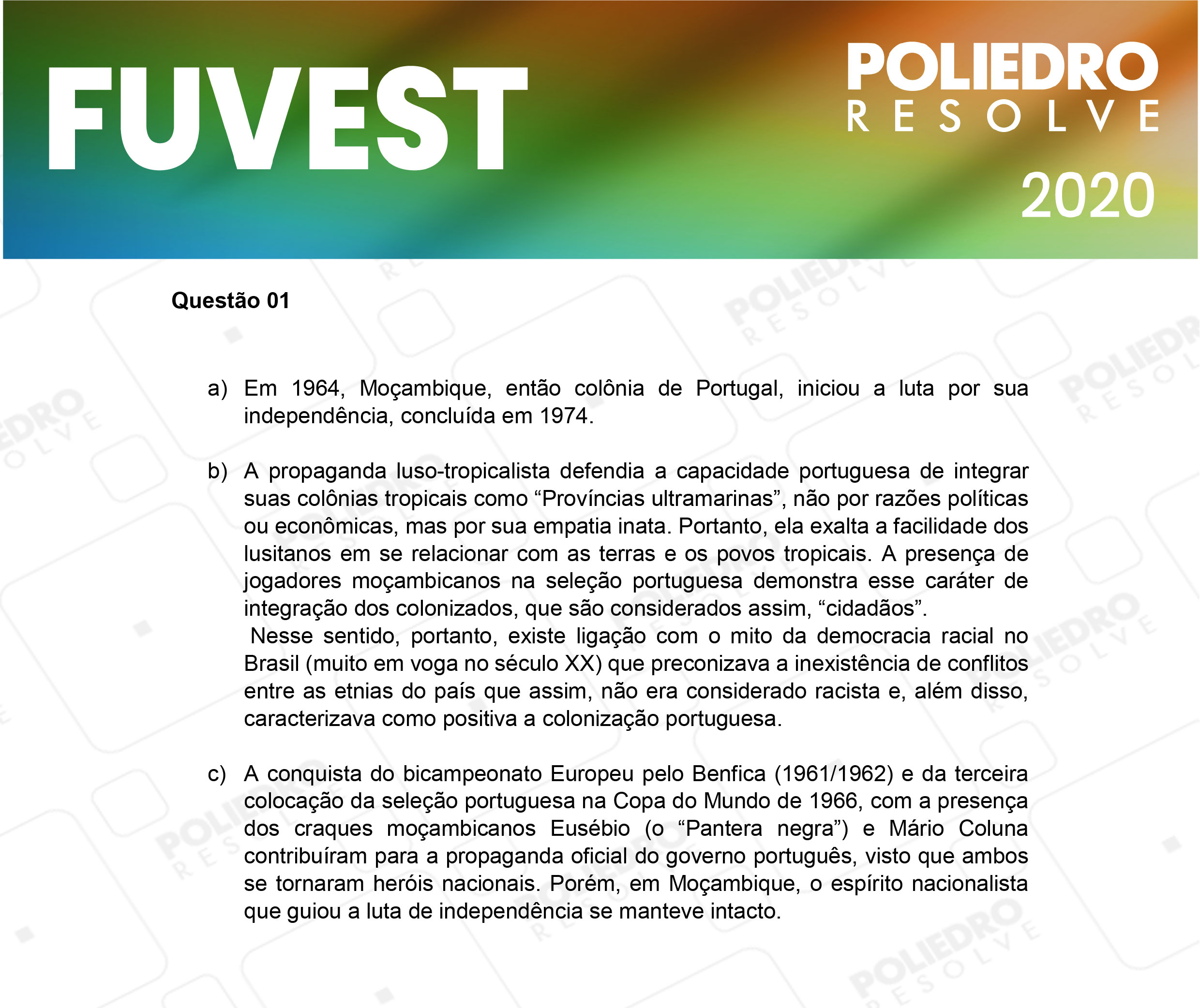 Dissertação 1 - 2ª Fase - 2º Dia - FUVEST 2020