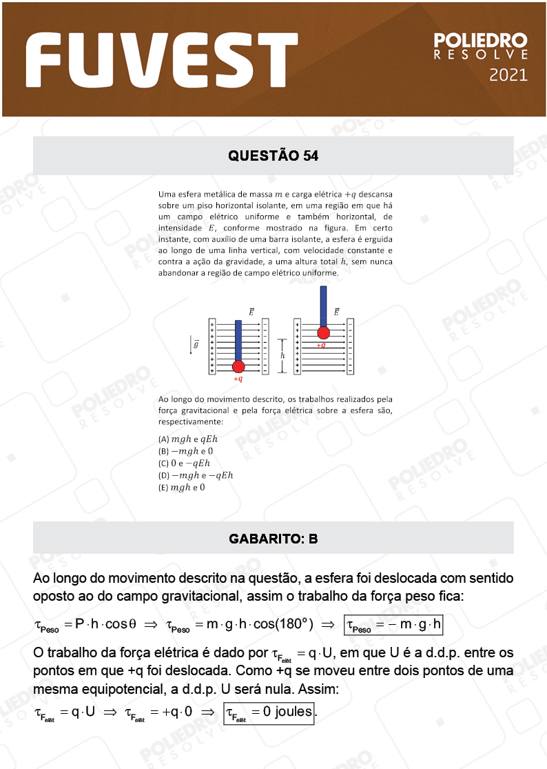 Questão 54 - 1ª Fase - FUVEST 2021