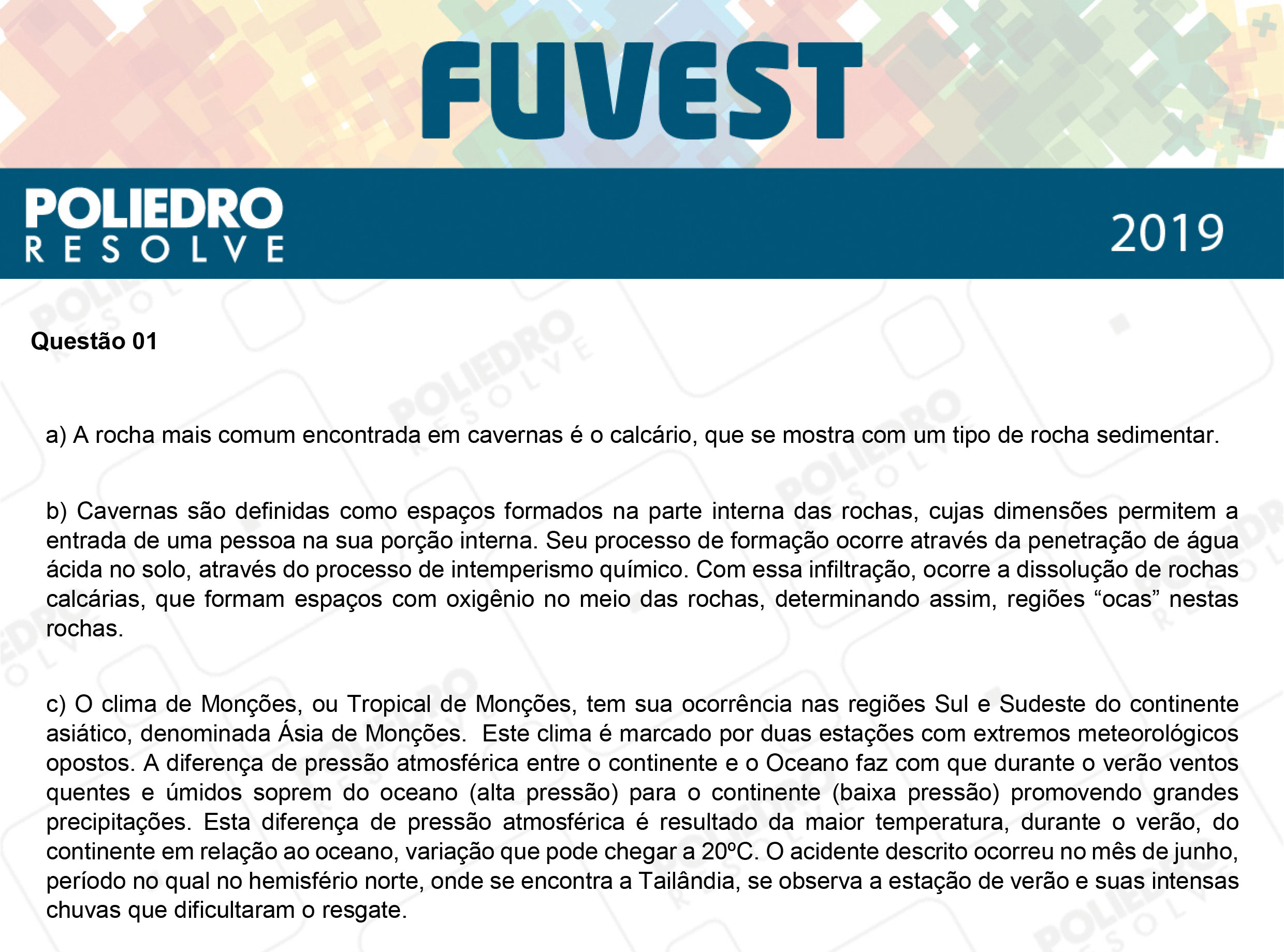 Dissertação 1 - 2ª Fase - 2º Dia - FUVEST 2019