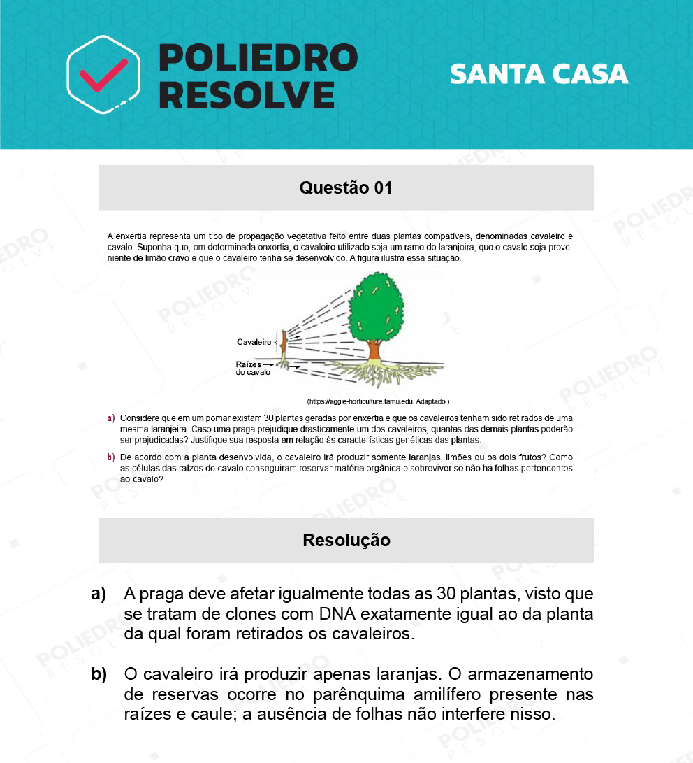 Dissertação 1 - 2º Dia - SANTA CASA 2022