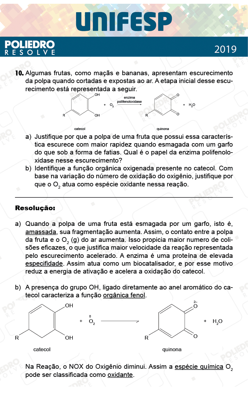 Dissertação 10 - Fase única - 2º Dia - UNIFESP 2019