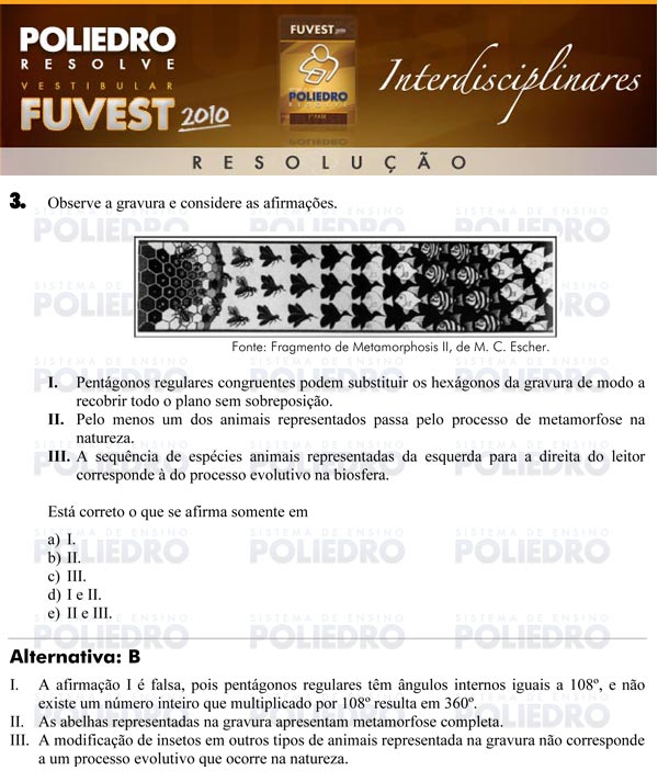 Questão 3 - 1ª Fase - FUVEST 2010