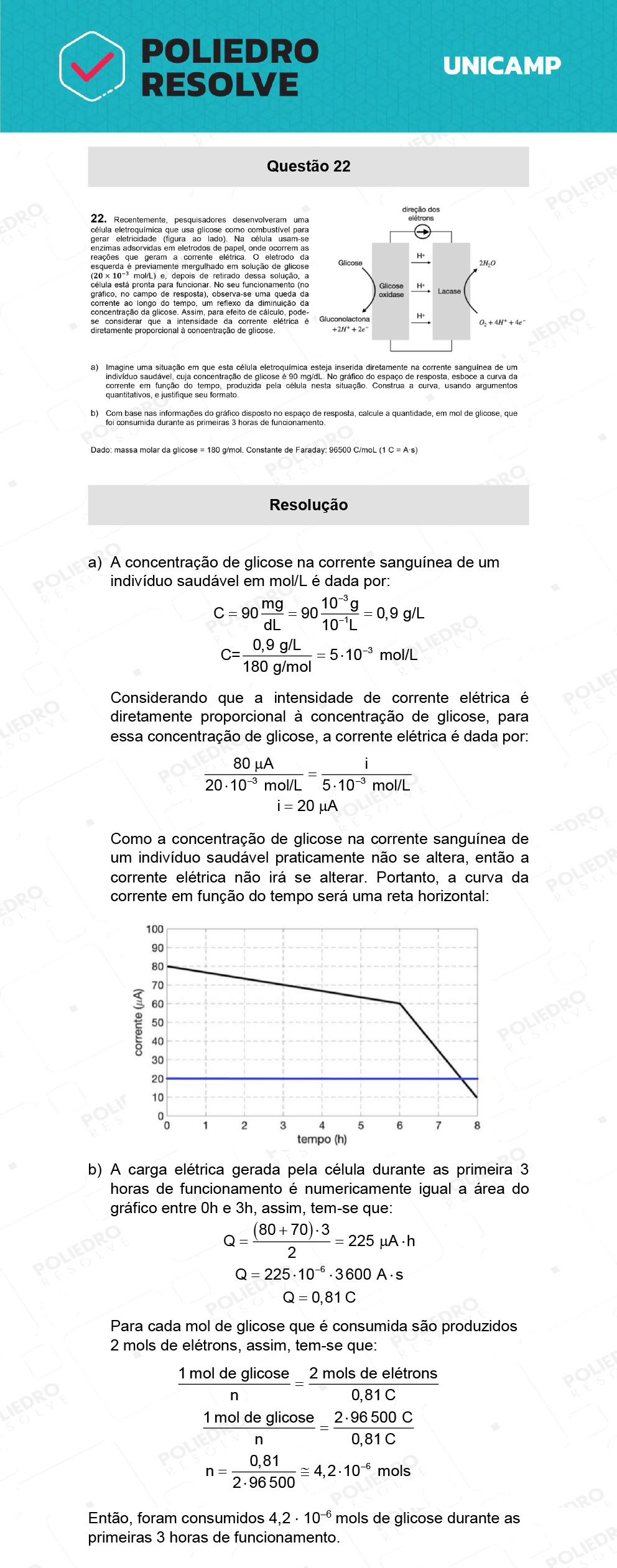 Dissertação 22 - 2ª Fase - 2º Dia - UNICAMP 2022