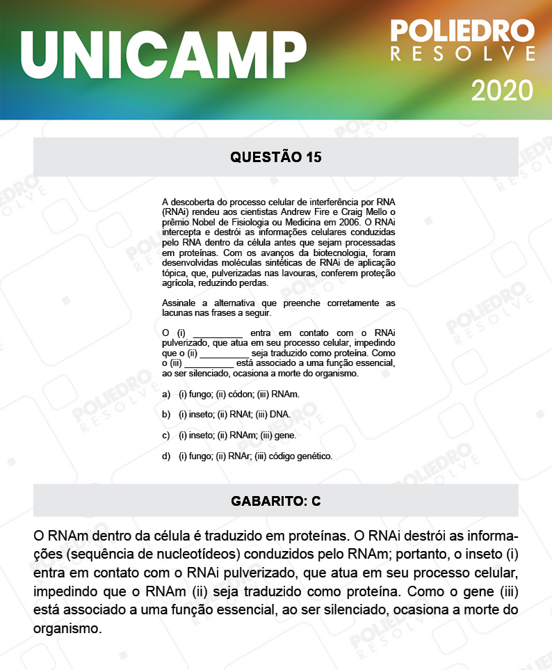 Questão 15 - 1ª Fase - Prova Q e X - UNICAMP 2020