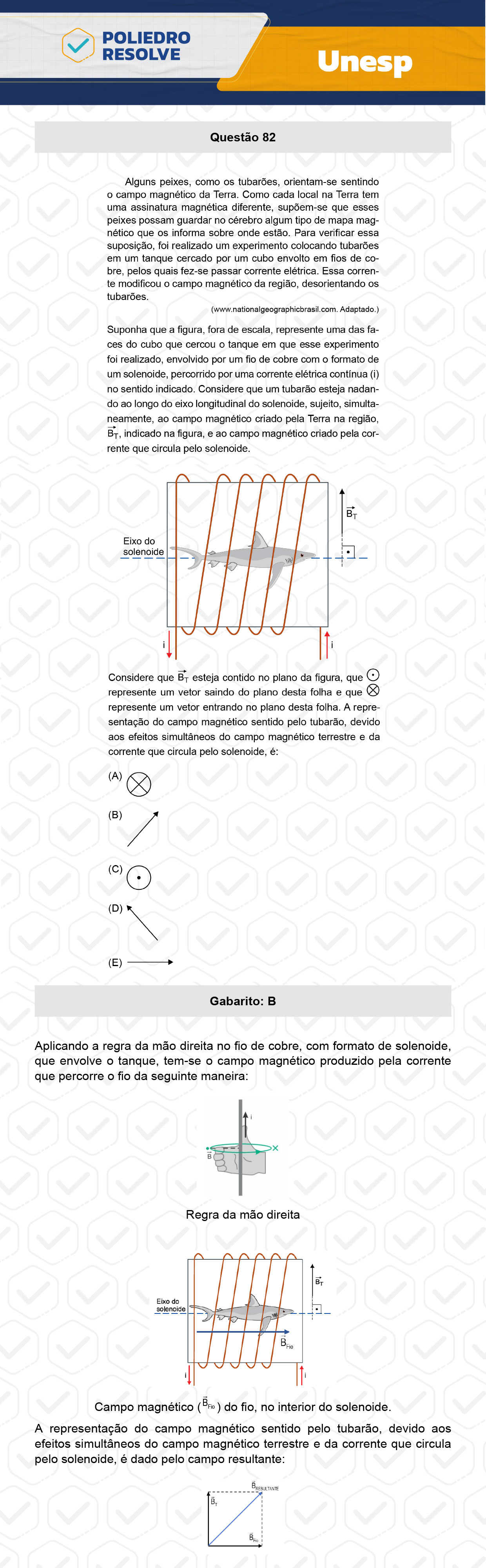 Questão 82 - 1ª Fase - UNESP 2024