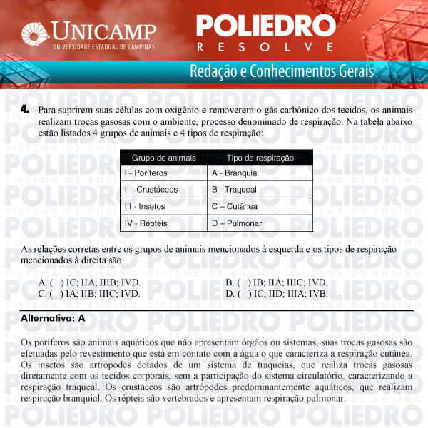 Questão 4 - 1ª Fase Versão Q-Z - UNICAMP 2011