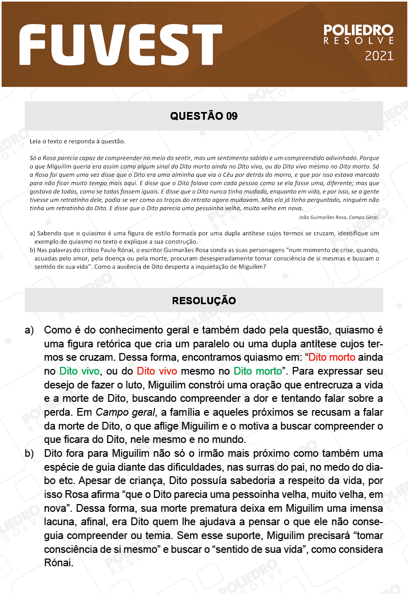 Dissertação 9 - 2ª Fase - 1º Dia - FUVEST 2021