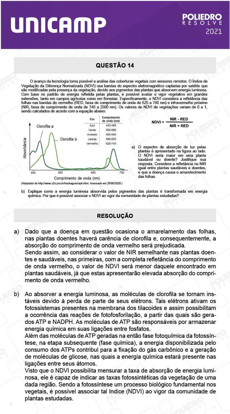 Dissertação 14 - 2ª Fase - 2º Dia - UNICAMP 2021