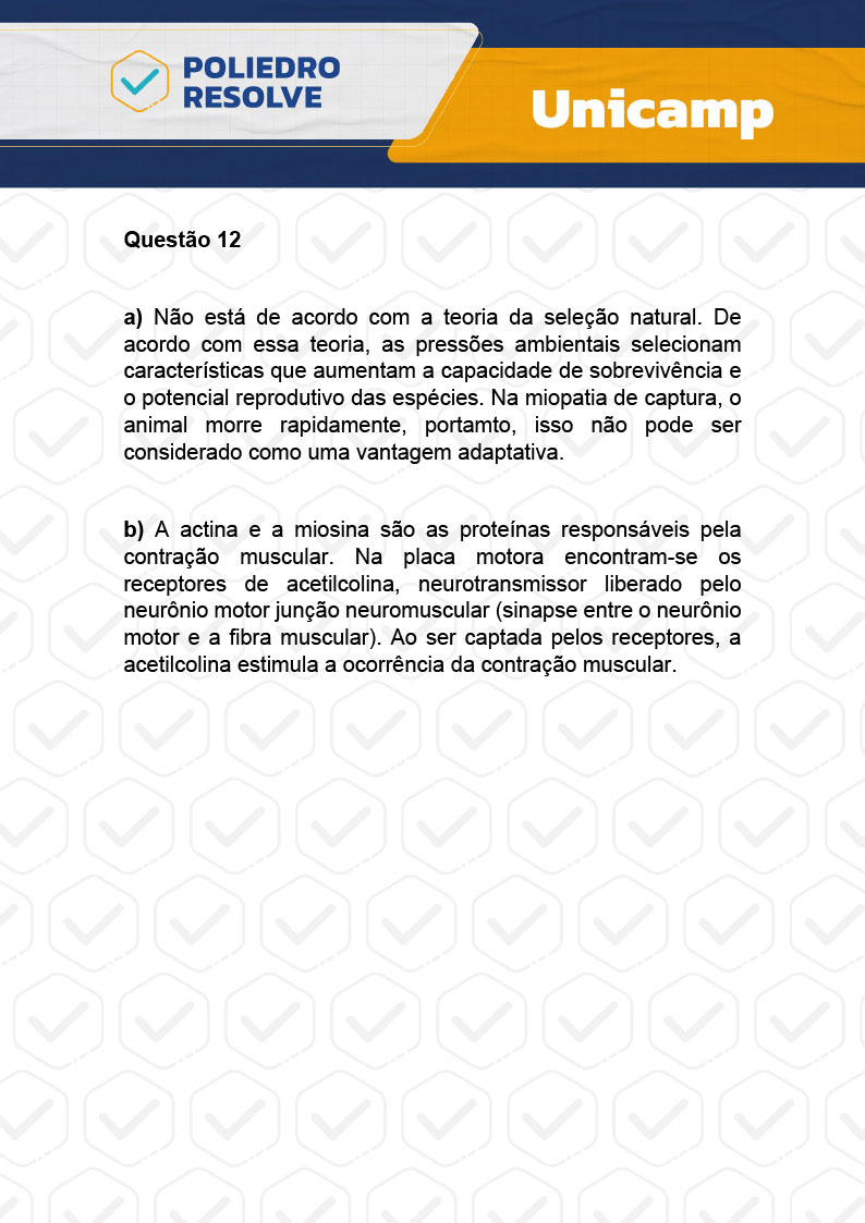 Dissertação 12 - 2ª Fase - 2º Dia - UNICAMP 2024