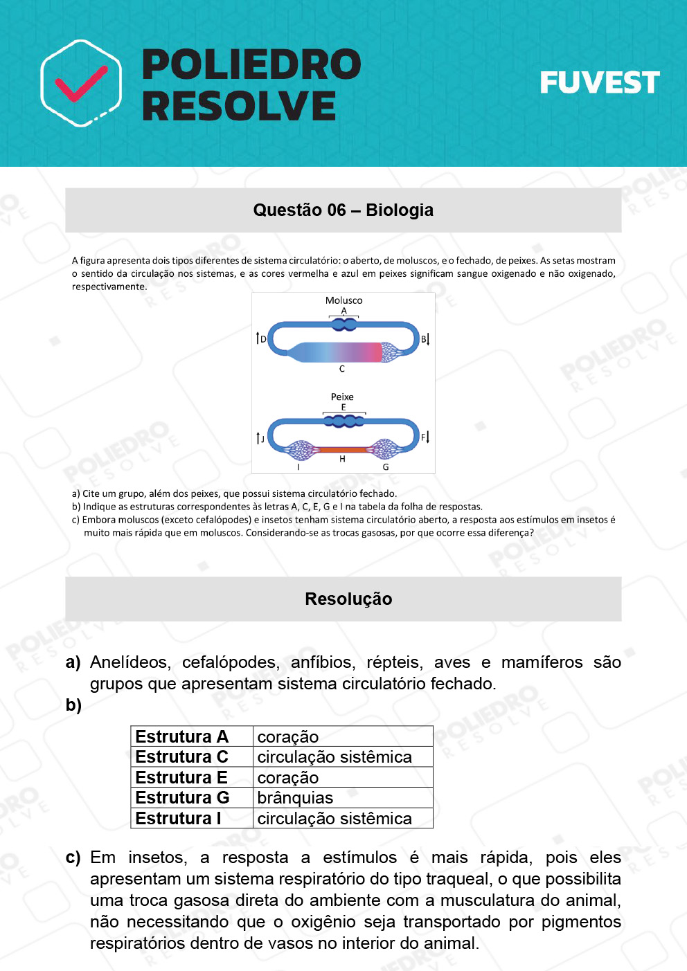 Dissertação 6 - 2ª Fase - 2º Dia - FUVEST 2022